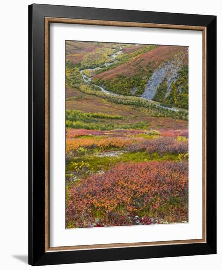 USA, Alaska, Brooks Range. Tundra and Dietrich River.-Jaynes Gallery-Framed Photographic Print