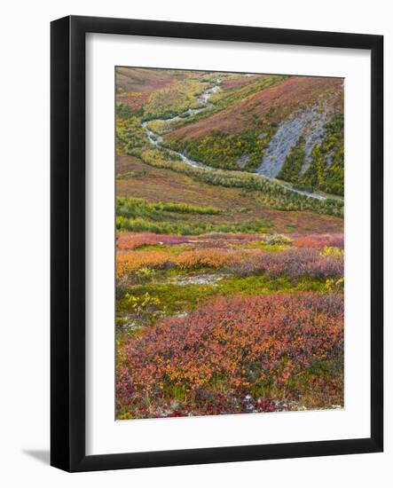 USA, Alaska, Brooks Range. Tundra and Dietrich River.-Jaynes Gallery-Framed Photographic Print