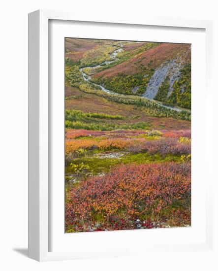 USA, Alaska, Brooks Range. Tundra and Dietrich River.-Jaynes Gallery-Framed Photographic Print