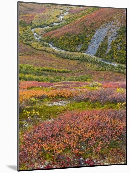 USA, Alaska, Brooks Range. Tundra and Dietrich River.-Jaynes Gallery-Mounted Photographic Print