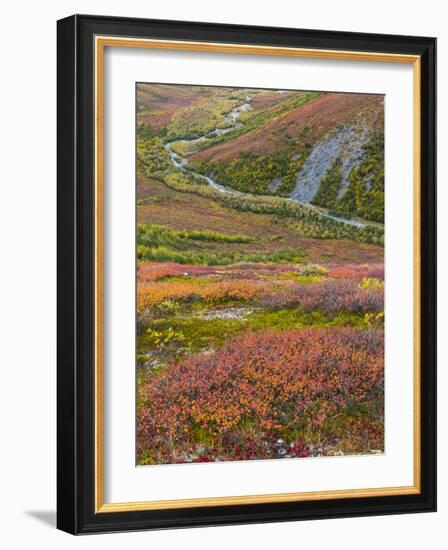 USA, Alaska, Brooks Range. Tundra and Dietrich River.-Jaynes Gallery-Framed Photographic Print