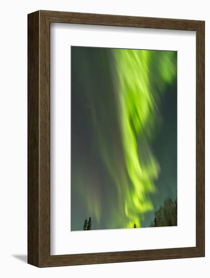 USA, Alaska, Central Alaska, Aurora, Northern Lights-Cathy & Gordon Illg-Framed Photographic Print