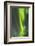 USA, Alaska, Central Alaska, Aurora, Northern Lights-Cathy & Gordon Illg-Framed Photographic Print