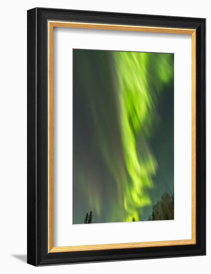 USA, Alaska, Central Alaska, Aurora, Northern Lights-Cathy & Gordon Illg-Framed Photographic Print