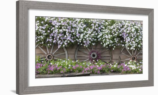 USA, Alaska, Chena Hot Springs. Flowers and wagon wheels.-Jaynes Gallery-Framed Photographic Print