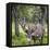 USA, Alaska, Chena Hot Springs of caribou.-Jaynes Gallery-Framed Premier Image Canvas