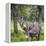 USA, Alaska, Chena Hot Springs of caribou.-Jaynes Gallery-Framed Premier Image Canvas