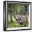 USA, Alaska, Chena Hot Springs of caribou.-Jaynes Gallery-Framed Photographic Print