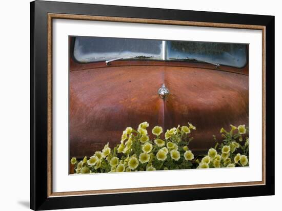 USA, Alaska, Chena Hot Springs. Old truck and flowers.-Jaynes Gallery-Framed Photographic Print