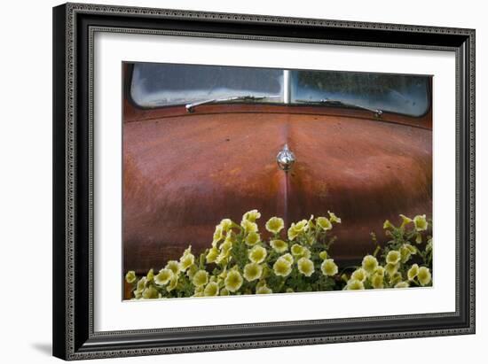 USA, Alaska, Chena Hot Springs. Old truck and flowers.-Jaynes Gallery-Framed Photographic Print