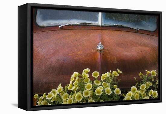 USA, Alaska, Chena Hot Springs. Old truck and flowers.-Jaynes Gallery-Framed Premier Image Canvas