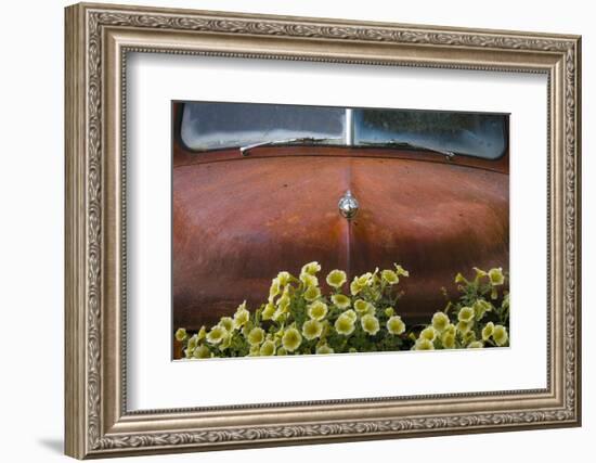 USA, Alaska, Chena Hot Springs. Old truck and flowers.-Jaynes Gallery-Framed Photographic Print