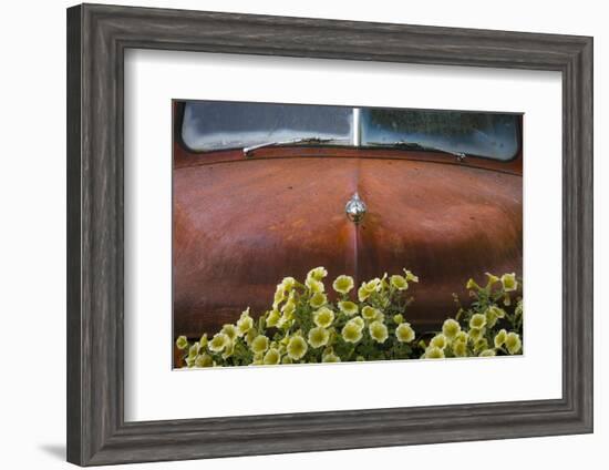 USA, Alaska, Chena Hot Springs. Old truck and flowers.-Jaynes Gallery-Framed Photographic Print