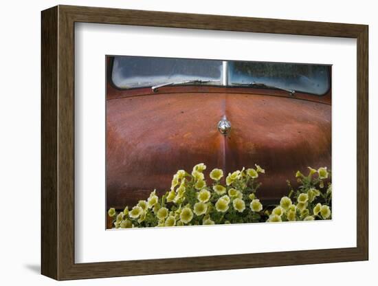 USA, Alaska, Chena Hot Springs. Old truck and flowers.-Jaynes Gallery-Framed Photographic Print