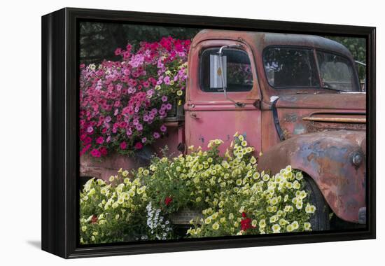 USA, Alaska, Chena Hot Springs. Old truck and flowers.-Jaynes Gallery-Framed Premier Image Canvas