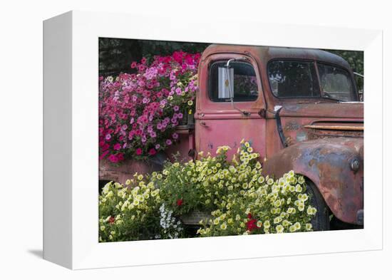 USA, Alaska, Chena Hot Springs. Old truck and flowers.-Jaynes Gallery-Framed Premier Image Canvas