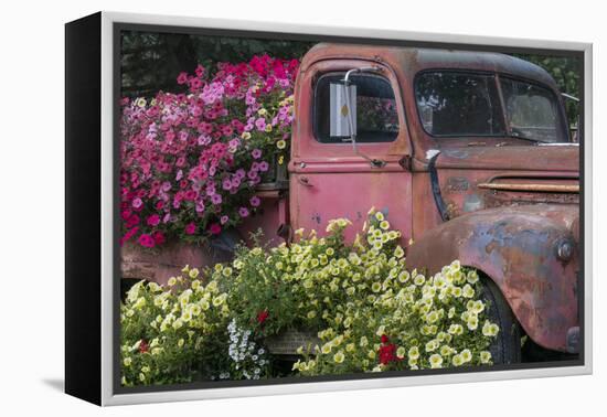 USA, Alaska, Chena Hot Springs. Old truck and flowers.-Jaynes Gallery-Framed Premier Image Canvas