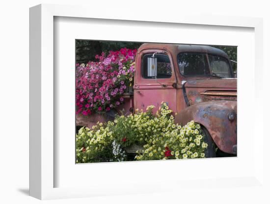 USA, Alaska, Chena Hot Springs. Old truck and flowers.-Jaynes Gallery-Framed Photographic Print