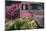 USA, Alaska, Chena Hot Springs. Old truck and flowers.-Jaynes Gallery-Mounted Photographic Print