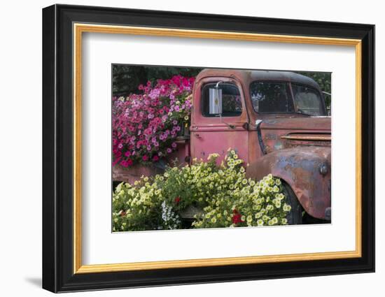 USA, Alaska, Chena Hot Springs. Old truck and flowers.-Jaynes Gallery-Framed Photographic Print