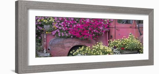 USA, Alaska, Chena Hot Springs. Panorama of old truck and flowers.-Jaynes Gallery-Framed Photographic Print