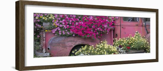 USA, Alaska, Chena Hot Springs. Panorama of old truck and flowers.-Jaynes Gallery-Framed Photographic Print