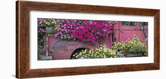 USA, Alaska, Chena Hot Springs. Panorama of old truck and flowers.-Jaynes Gallery-Framed Photographic Print