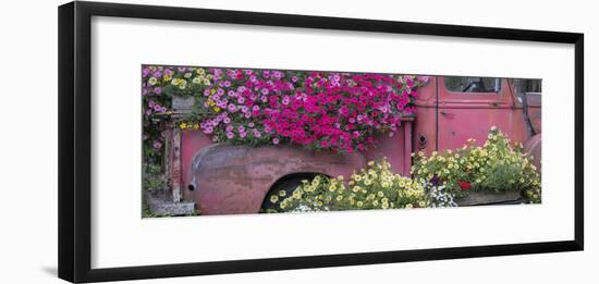 USA, Alaska, Chena Hot Springs. Panorama of old truck and flowers.-Jaynes Gallery-Framed Photographic Print