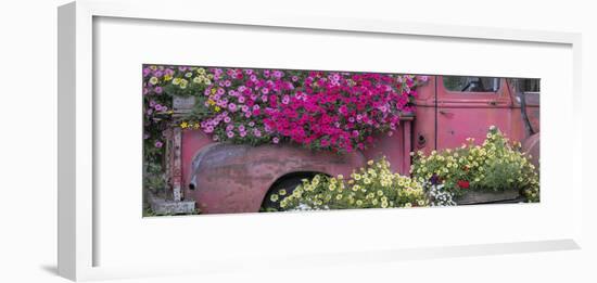 USA, Alaska, Chena Hot Springs. Panorama of old truck and flowers.-Jaynes Gallery-Framed Photographic Print