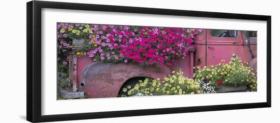 USA, Alaska, Chena Hot Springs. Panorama of old truck and flowers.-Jaynes Gallery-Framed Photographic Print