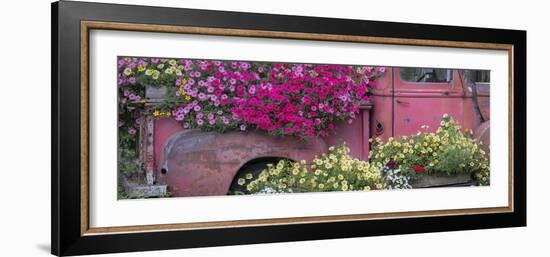 USA, Alaska, Chena Hot Springs. Panorama of old truck and flowers.-Jaynes Gallery-Framed Photographic Print