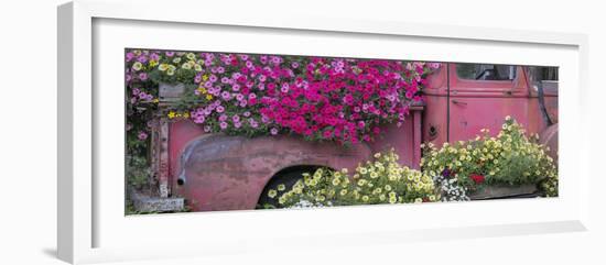 USA, Alaska, Chena Hot Springs. Panorama of old truck and flowers.-Jaynes Gallery-Framed Photographic Print