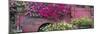 USA, Alaska, Chena Hot Springs. Panorama of old truck and flowers.-Jaynes Gallery-Mounted Photographic Print
