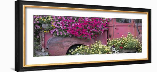 USA, Alaska, Chena Hot Springs. Panorama of old truck and flowers.-Jaynes Gallery-Framed Photographic Print