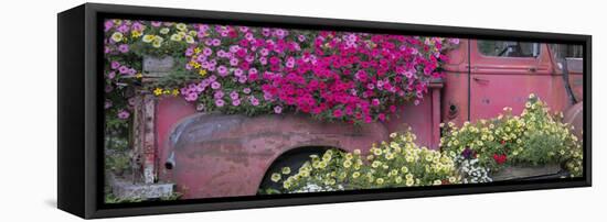 USA, Alaska, Chena Hot Springs. Panorama of old truck and flowers.-Jaynes Gallery-Framed Premier Image Canvas