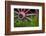 USA, Alaska, Chena Hot Springs. Vintage wagon wheel and grass.-Jaynes Gallery-Framed Photographic Print