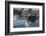 USA, Alaska, Chilkat Bald Eagle Preserve, bald eagle flying-Jaynes Gallery-Framed Photographic Print