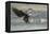 USA, Alaska, Chilkat Bald Eagle Preserve, bald eagle, landing-Jaynes Gallery-Framed Premier Image Canvas