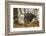 USA, Alaska, Chilkat Bald Eagle Preserve. Bald Eagle on Ground-Cathy & Gordon Illg-Framed Photographic Print