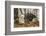 USA, Alaska, Chilkat Bald Eagle Preserve. Bald Eagle on Ground-Cathy & Gordon Illg-Framed Photographic Print