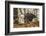 USA, Alaska, Chilkat Bald Eagle Preserve. Bald Eagle on Ground-Cathy & Gordon Illg-Framed Photographic Print