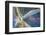 USA, Alaska. Cracked auto glass.-Jaynes Gallery-Framed Photographic Print