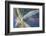 USA, Alaska. Cracked auto glass.-Jaynes Gallery-Framed Photographic Print