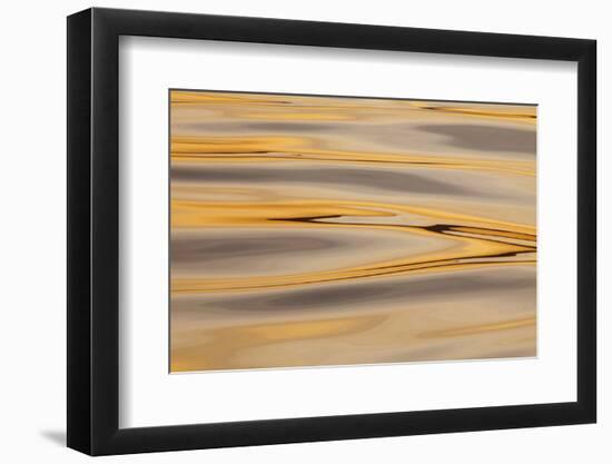 USA, Alaska, Cross Sound. Sunset Reflections on Water-Don Paulson-Framed Photographic Print