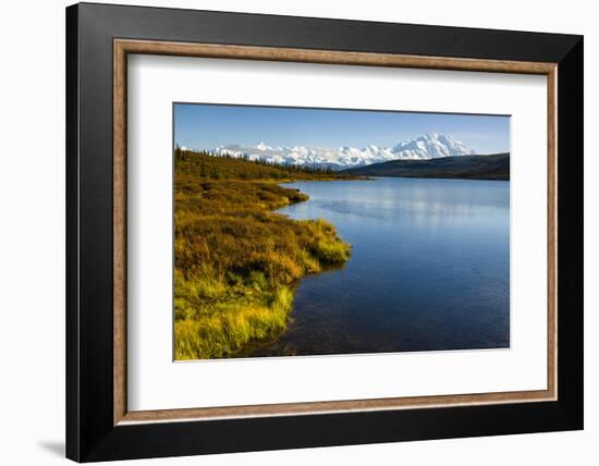 USA, Alaska, Denali National Park, fall colors, Denali-George Theodore-Framed Photographic Print