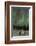 USA, Alaska, Fairbanks. a Quinzee Snow Shelter and Aurora Borealis-Cathy & Gordon Illg-Framed Photographic Print