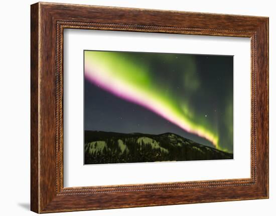 USA, Alaska, Fairbanks. Aurora borealis at night.-Jaynes Gallery-Framed Photographic Print