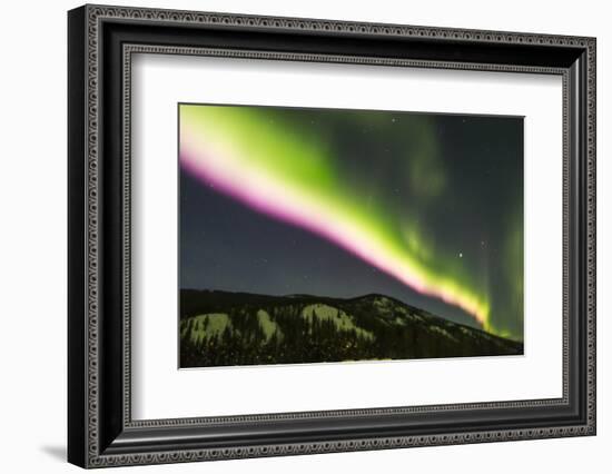 USA, Alaska, Fairbanks. Aurora borealis at night.-Jaynes Gallery-Framed Photographic Print