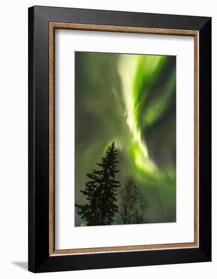 USA, Alaska, Fairbanks. Aurora borealis at night.-Jaynes Gallery-Framed Photographic Print