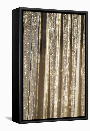 USA, Alaska, Fairbanks. Sun reflects on icicles.-Jaynes Gallery-Framed Premier Image Canvas